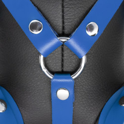 The Red Ours en cuir Bendy The Bdsm Teddy Bear Bleu